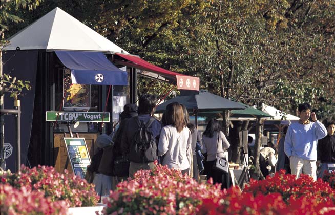 Oct Cafe