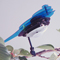 Small Birds